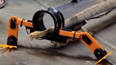 Photo of YouTuber’s Crazy Idea: Build a robotic exoskeleton for a snake to walk.  And it works (but under human control) – video