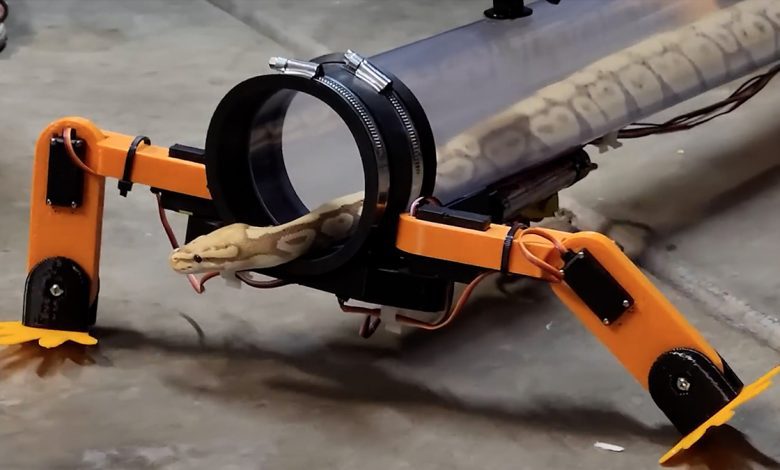 YouTuber's Crazy Idea: Build a robotic exoskeleton for a snake to walk.  And it works (but under human control) - video