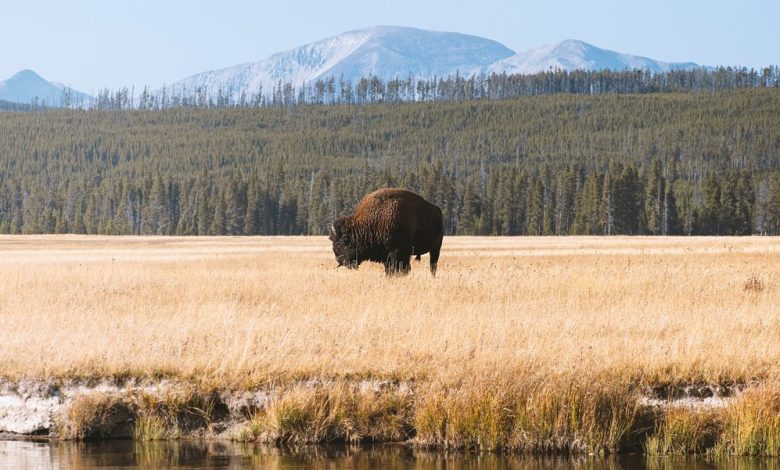 Guide to the National Park in the USA