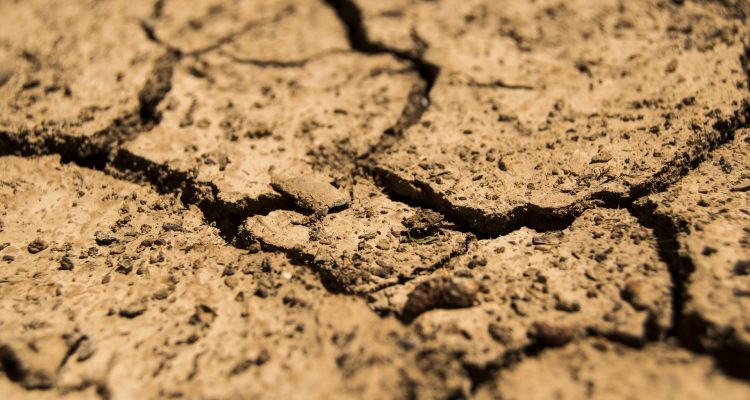 UK drought was driest in July since 1935: extreme heat on alert