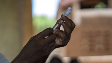 Photo of A very promising malaria vaccine