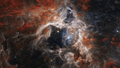 Photo of Another surprise from the Webb Telescope: tens of thousands of never-before-seen stars are immortalized in the Tarantula Nebula