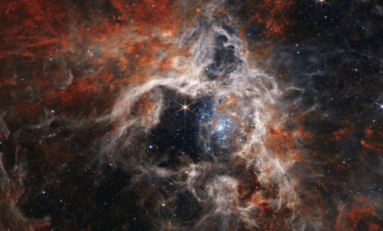 Another surprise from the Webb Telescope: tens of thousands of never-before-seen stars are immortalized in the Tarantula Nebula