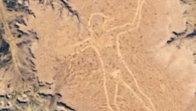 Photo of Australia, the mystery behind the ‘Giant Man’: the discovery