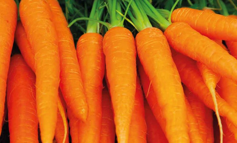 Beware of carrots: here's what could happen