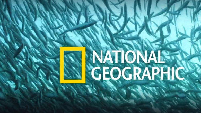 National Geographic Channels Shut Down On Sky