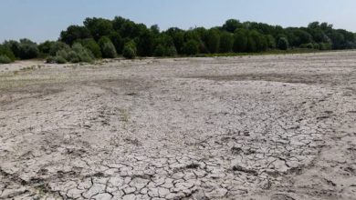 Photo of climate.  Drought in China, Europe, the United States and Africa.  Millions of people are at risk of starvation