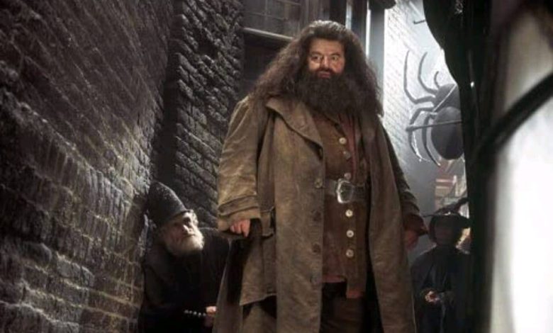Robbie Coltrane, the legendary Hagrid in Harry Potter, has died at the age of 72