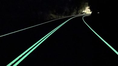 Photo of The Fluorescent Highway: An Experience in Australia