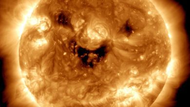 Photo of The sun is smiling and standing on the NASA telescope