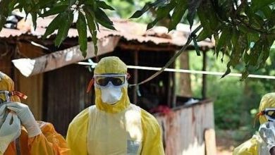 Photo of In Uganda, 48 Ebola deaths: Testing of new vaccine begins in two weeks