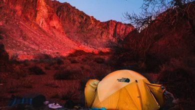 Photo of Free camping in the US: the rules and where to do it