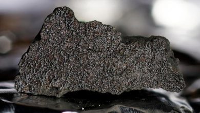 Photo of Meteorite found on UK trail provides clue as to how water got to Earth