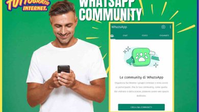 Photo of WhatsApp – The “society” revolution has arrived and satisfies everyone, the great achievement
